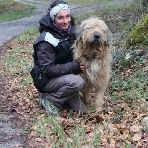 La chronique de nos amis les chiens !