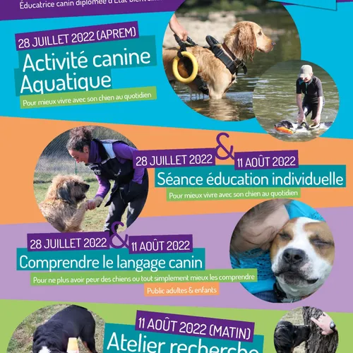 La chaleur, c'est aussi pour les chiens !