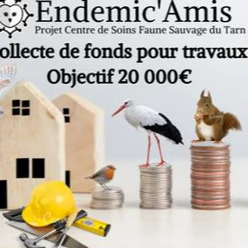 Un centre de soin pour la faune sauvage !