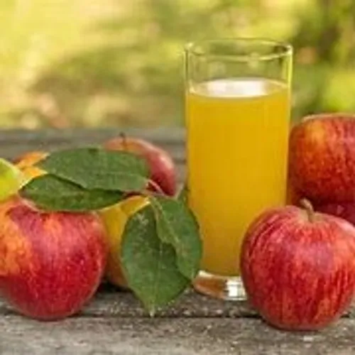 Pressage collectif de jus de pomme