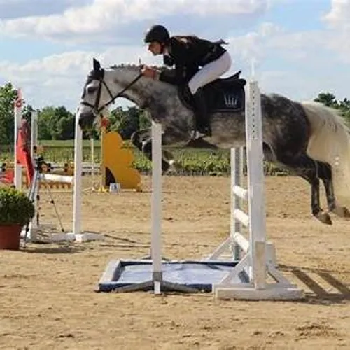 Sentiers de Cocagne, Montagne Noire