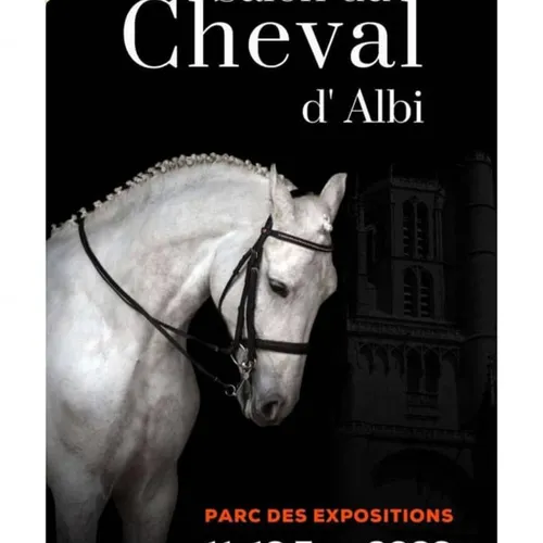 Pour les amoueux des chevaux et du beau spectacle !