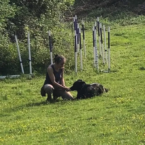 Elle aime les chiens et répond à toutes vos questions sur FM 81 !