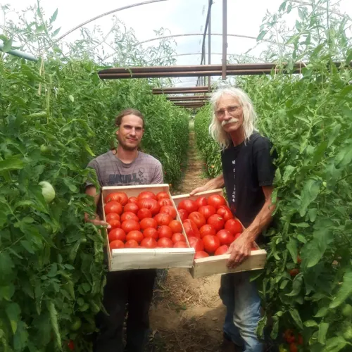Un verger à découvrir absolument !