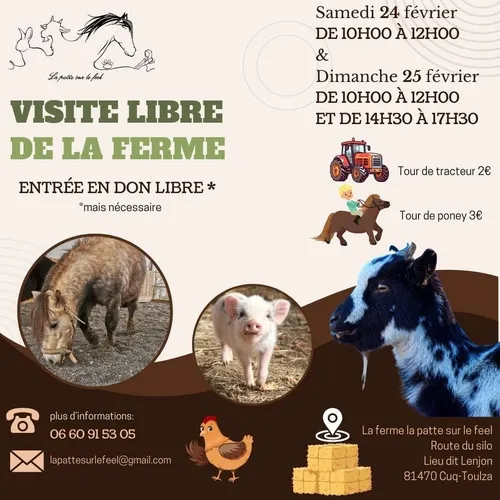 Journée à la ferme