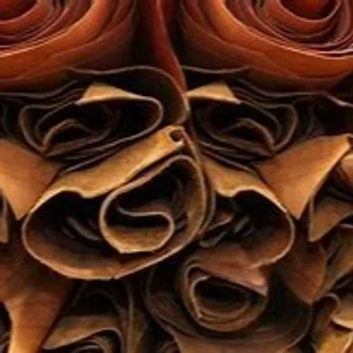 Le cuir dans la peau