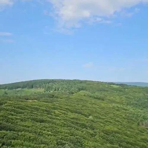  Festival du Monde d’Après d’Après : l’éveil estival en Montagne Noire