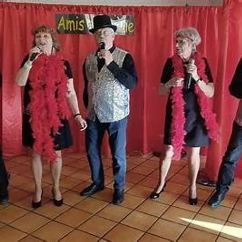 Amisenscène fait son cinéma en chansons à Graulhet