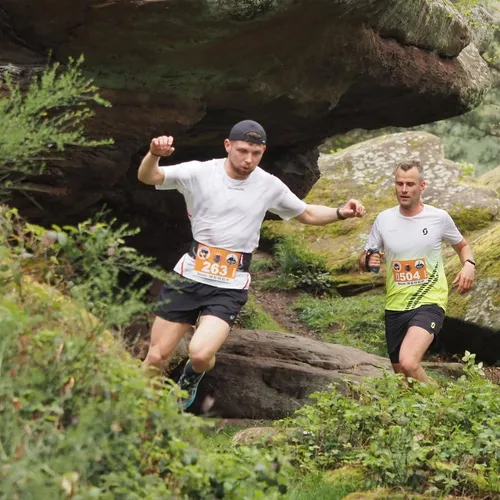 Course, marathon, trail : les rendez-vous en Alsace