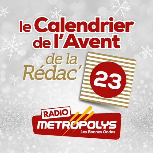 Case 23 : Retour du Noël solidaire des animaux à Lille ! 