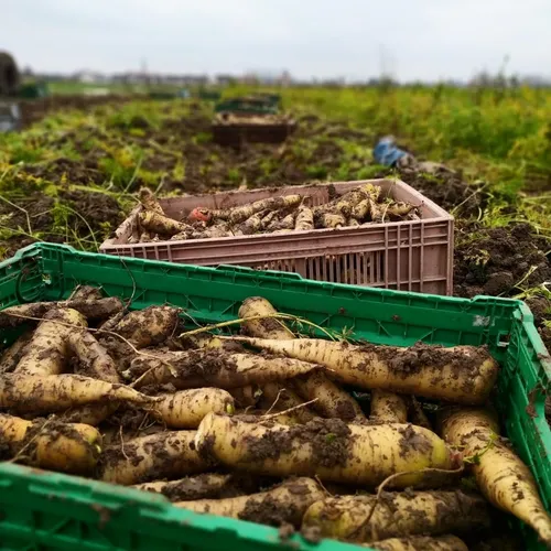 Le Court Circuit est devenu une coopérative