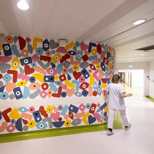 L'association Omelia aide aux bien-être des patients du CHU de Lille