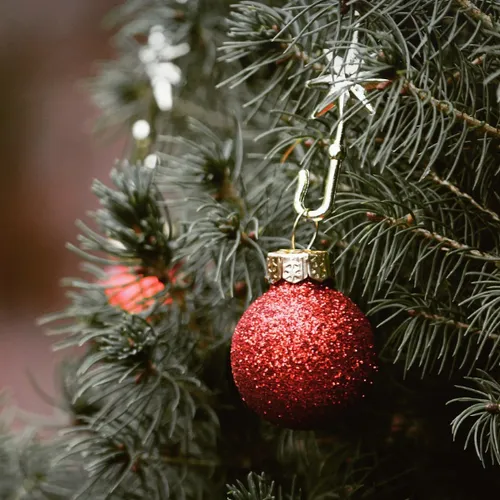 Plutôt sapin naturel ou artificiel ? 