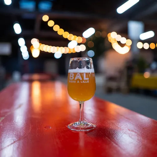 L'Espagne à l'honneur du Festival Bière à Lille