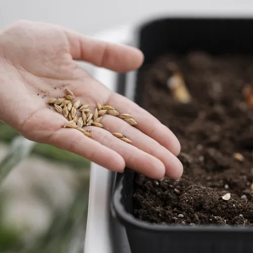 Des activités écologiques toute l'année dans l'Arrageois