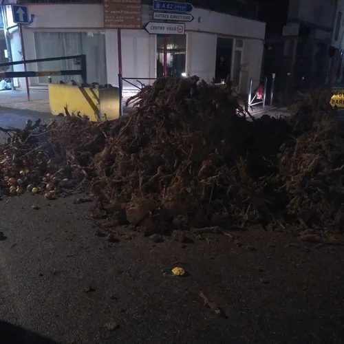 Action Agri CastelMoissac 2