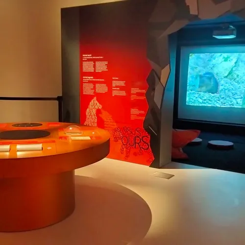 Exposition Ours entre mythes et réalités