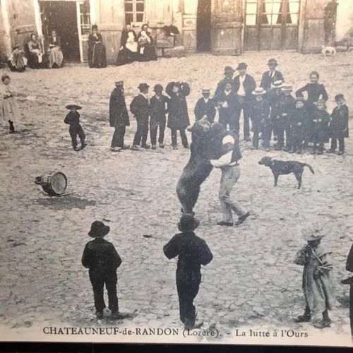 Exposition Ours entre mythes et réalités