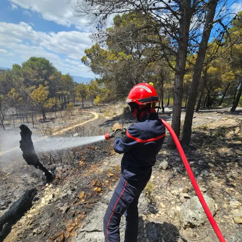 Les pompiers de l'Aveyron engagés dans l'Aude en juillet 2025.