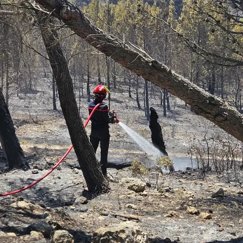 Les pompiers de l'Aveyron engagés dans l'Aude en juillet 2025.