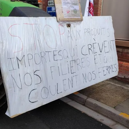 Manifestation des agriculteurs à Albi (Tarn) le 14 novembre 2023.