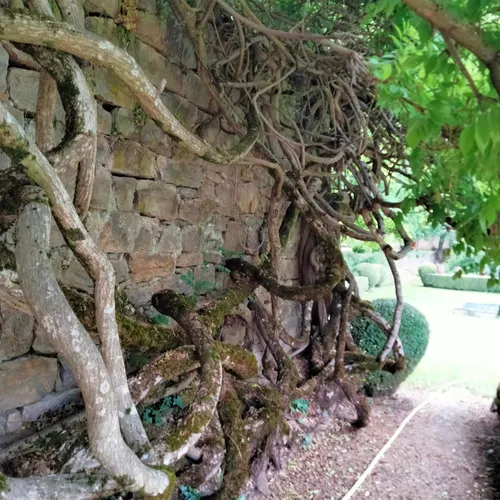Le château de Ressouches, en Lozère