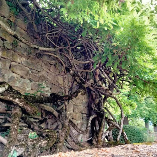 Le château de Ressouches, en Lozère