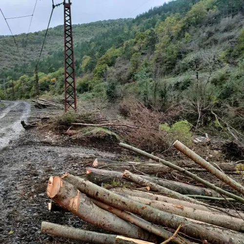 La montée des eaux a fait des dégâts considérables sur la portion entre Millau et Bédarieux.