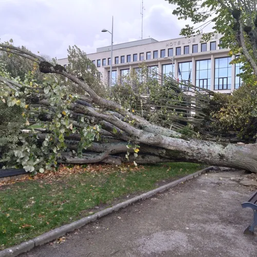 Les dégâts de la tempête Ciaran à Saint-Nazaire
