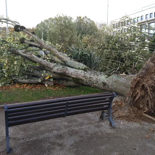Les dégâts de la tempête Ciaran à Saint-Nazaire