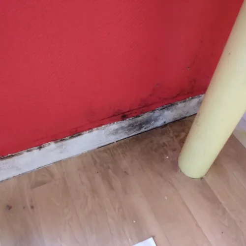 Des moisissures dans la partie "saine" de l'appartement d'Arnaud Dauvé