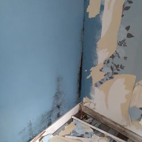 Des moisissures dans la partie "saine" de l'appartement d'Arnaud Dauvé