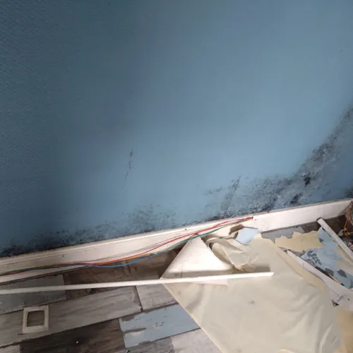 Des moisissures dans la partie "saine" de l'appartement d'Arnaud Dauvé