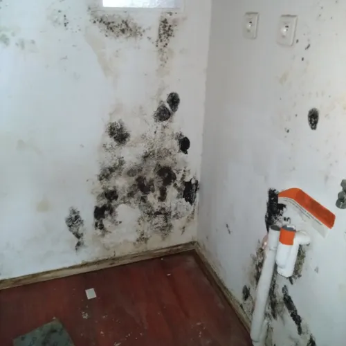 Des moisissures dans la partie inhabitable de l'appartement d'Arnaud Dauvé