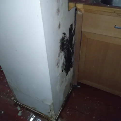 Des moisissures dans la partie inhabitable de l'appartement d'Arnaud Dauvé