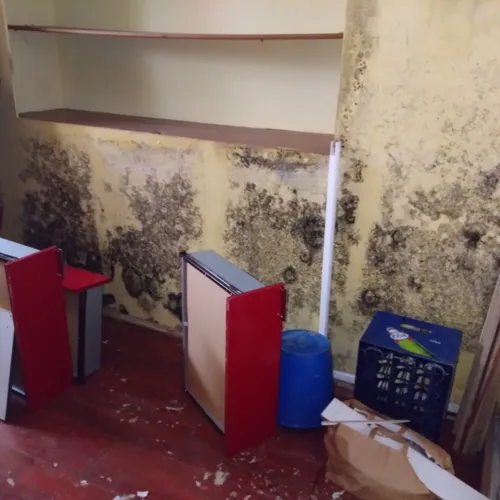 Des moisissures dans la partie inhabitable de l'appartement d'Arnaud Dauvé