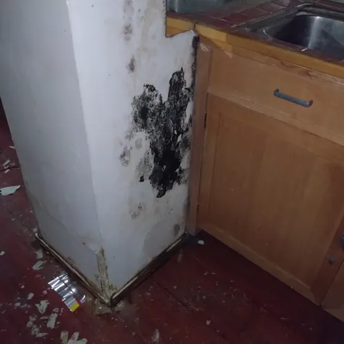 Des moisissures dans la partie inhabitable de l'appartement d'Arnaud Dauvé