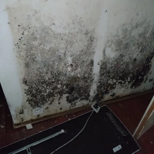 Des moisissures dans la partie inhabitable de l'appartement d'Arnaud Dauvé