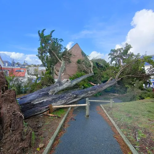 Les dégâts de la tempête Ciaran à Saint-Marc-sur-Mer