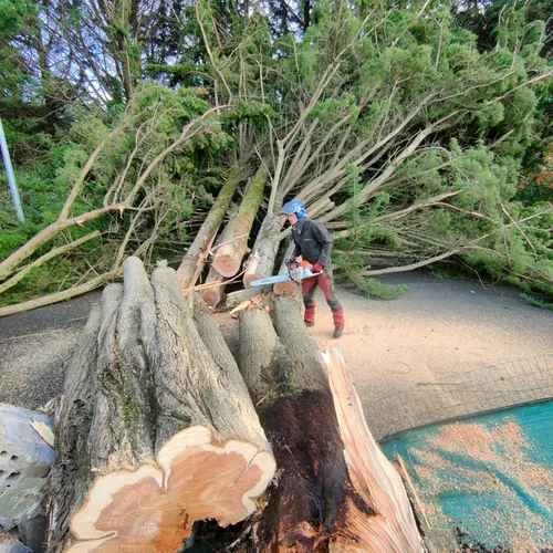 Les dégâts de la tempête Ciaran dans le département de Loire-Atlantique