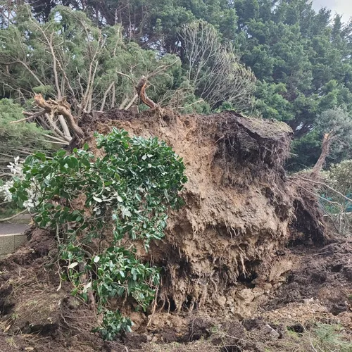 Les dégâts de la tempête Ciaran dans le département de Loire-Atlantique