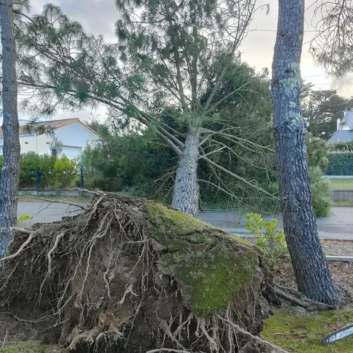 Les dégâts de la tempête Ciaran dans le département de Loire-Atlantique
