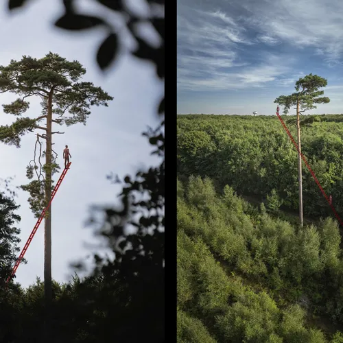 A ladder to Heaven - Bayona Studio