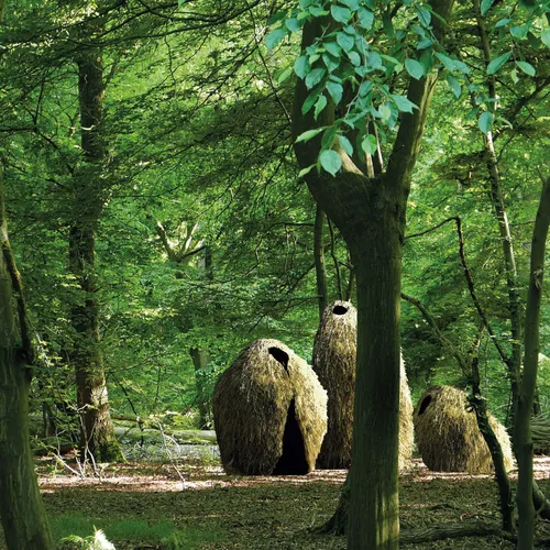 Les Chaumes - Atelier YokYok