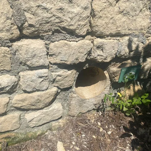 [PODCAST] : des routes pour hérissons en Normandie