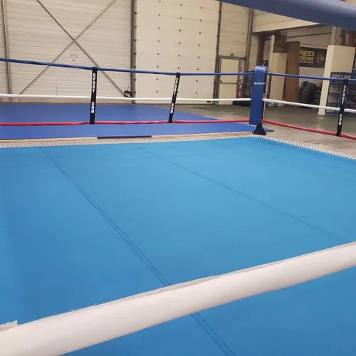 [PODCAST] BOXE : ALLER À L'ÉTRANGER POUR ENFIN COMBATTRE ?