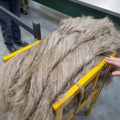 [Podcast] Lancement de la filière chanvre en Normandie