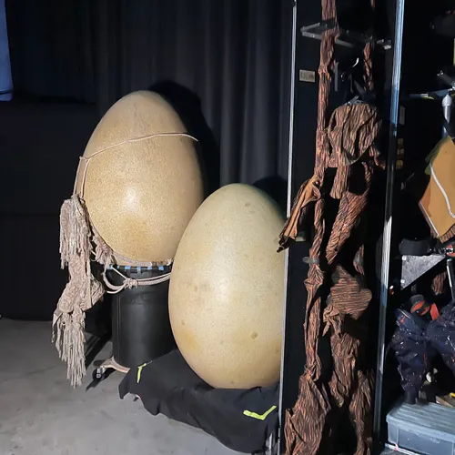 Dans les coulisses du Cirque du Soleil, au Zénith de Rouen