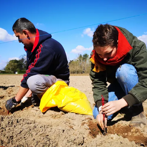 [PODCAST] Un cépage oublié refait surface en Loir-et-Cher
