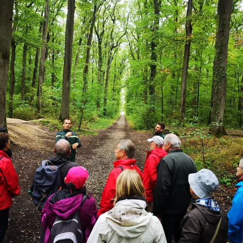 [PODCAST] Les forêts, sentinelles du changement climatique